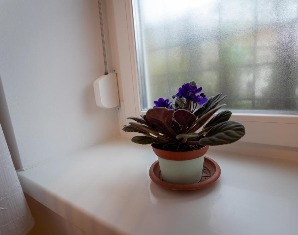 Sunbird Apartman Boedapest Buitenkant foto